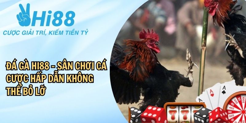 Tổng quan thông tin về đá gà Hi88